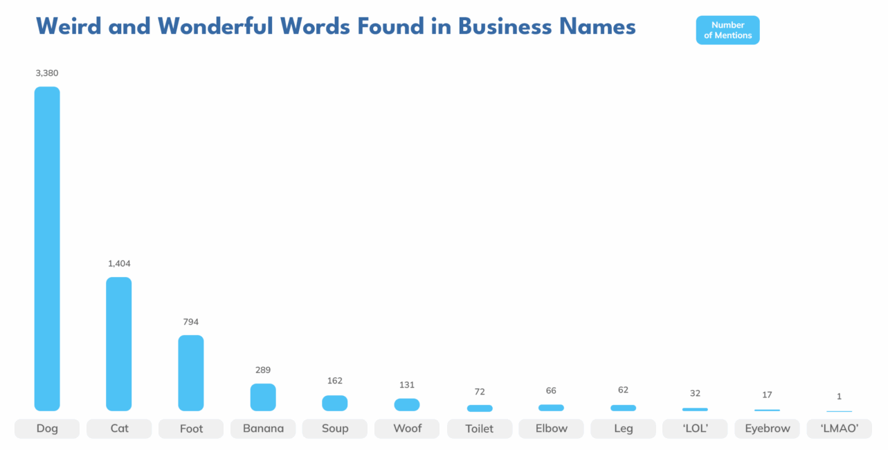 infographic showing unusual words used in company names
