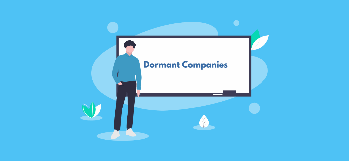 What is a Dormant Company?